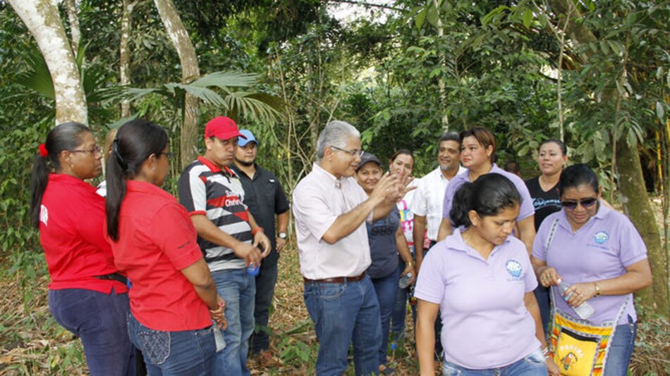 Cuatro empresas, interesadas en construir parque en Panamá norte por $16.9 millones