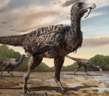 Huellas de un velociraptor de cinco metros descubiertas en China