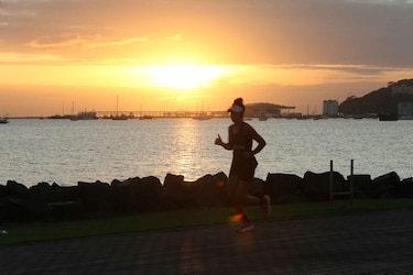 El jardín de Epicuro contra la política, la barbarie y la estupidez