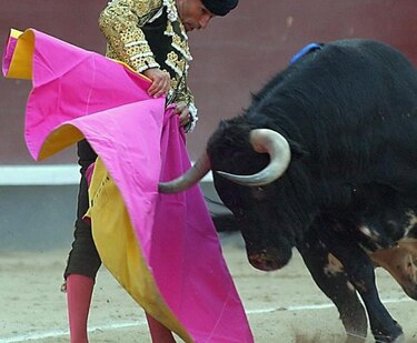 Alcalde francés suspende corridas de toros por falta de presupuesto