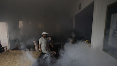 Una  enfermedad emergente de muy rápida  propagación