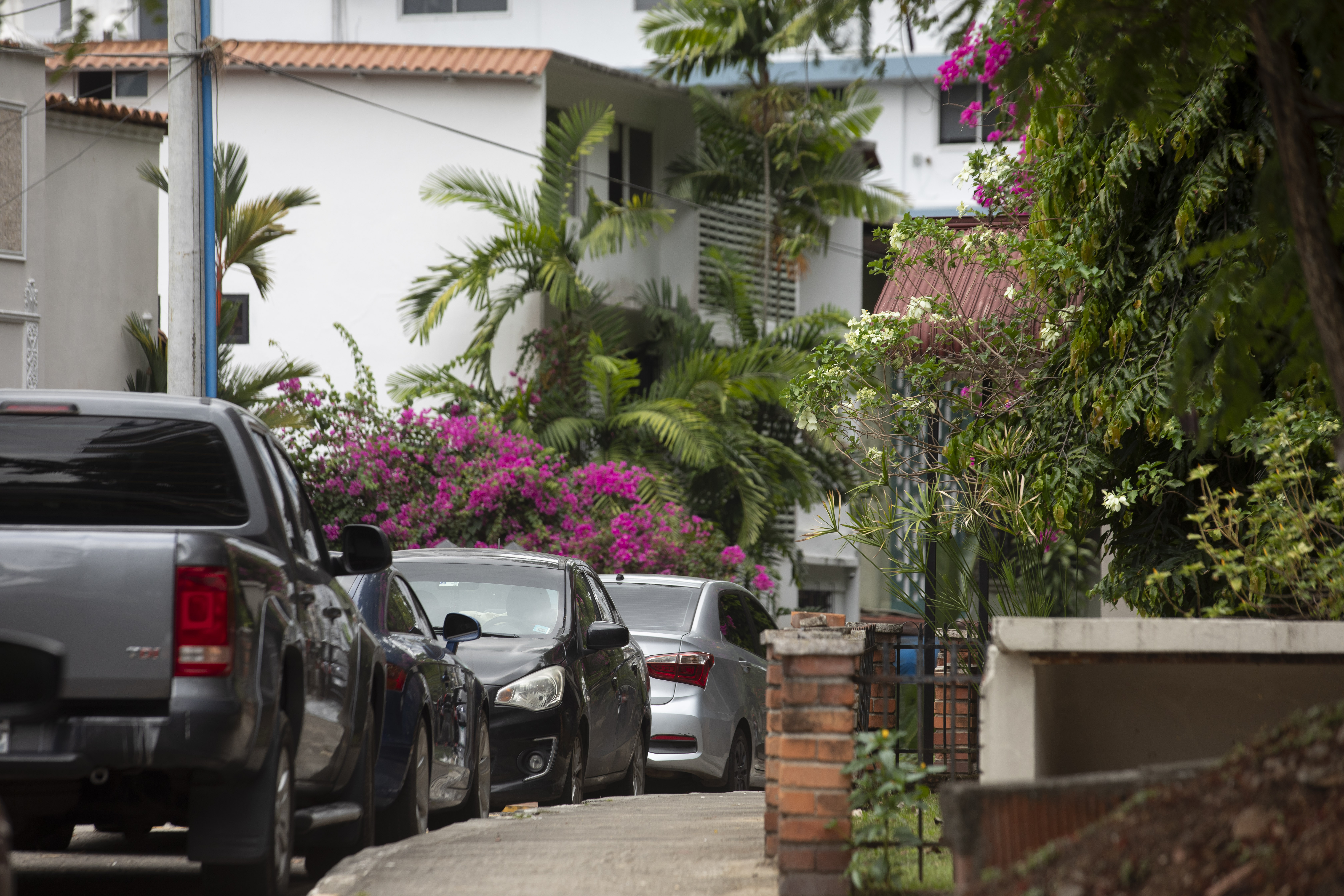 Comunidad de La Cresta denuncia irregularidades en proyecto residencial, piden a las autoridades corregir