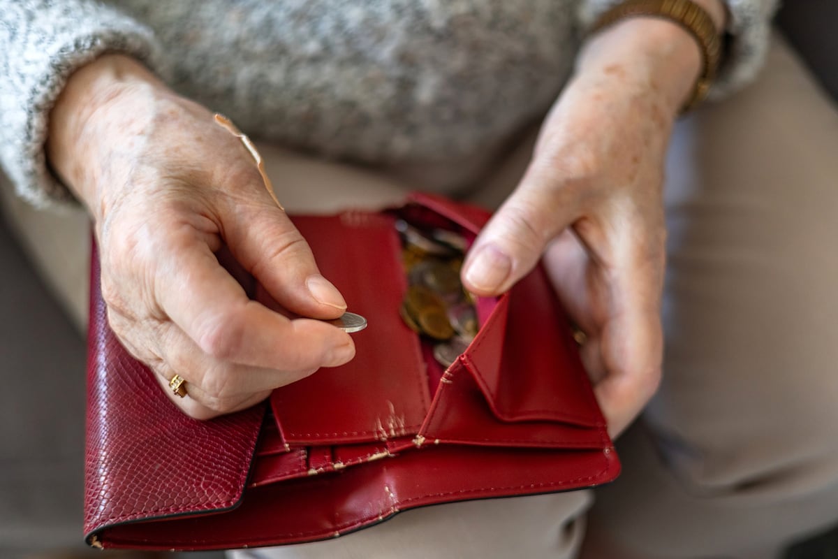 Cepanim: plataforma ya supera los 100 mil registrados