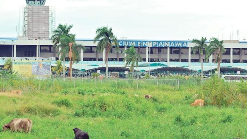 Universidad de Panamá: compra de finca sin licitar