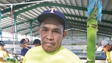 El oro verde vuelve a brillar en Barú