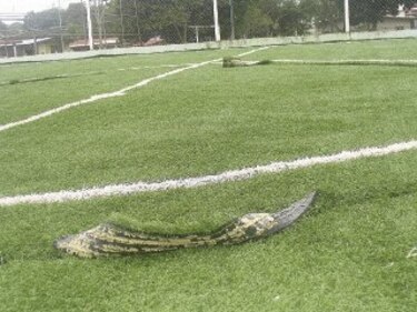 Canchas sintéticas están en mal estado