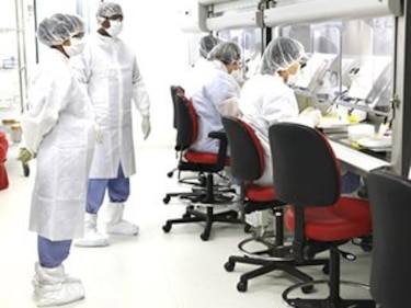 Firmas se apresuran a producir vacuna para gripe A(H1N1)