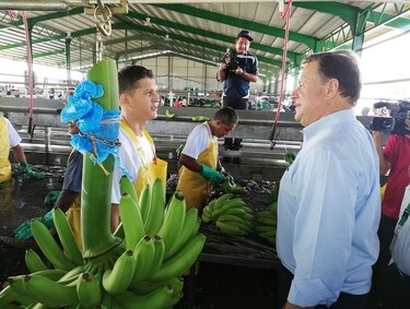 Salen primeras cajas de banano hacia Estados Unidos