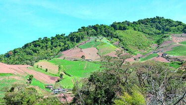 Miambiente regula viabilidad de tierras colectivas en área protegidas