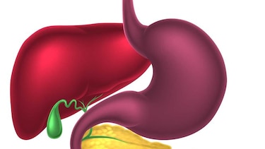 Importancia médica del microbioma
