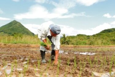 El clima modifica la vida en el campo