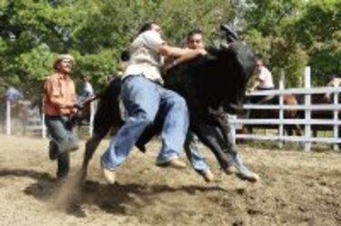 Imágenes Un día de hierra: ¡Vuelta campana!