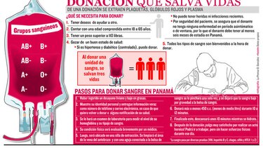 Vida compartida