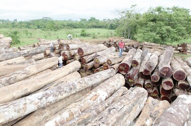 Ministerio Público investiga red criminal que titula tierras en Darién