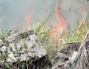 Tras cinco horas de trabajo Bomberos controlan incendio de herbazal cerca de cerro Patacón