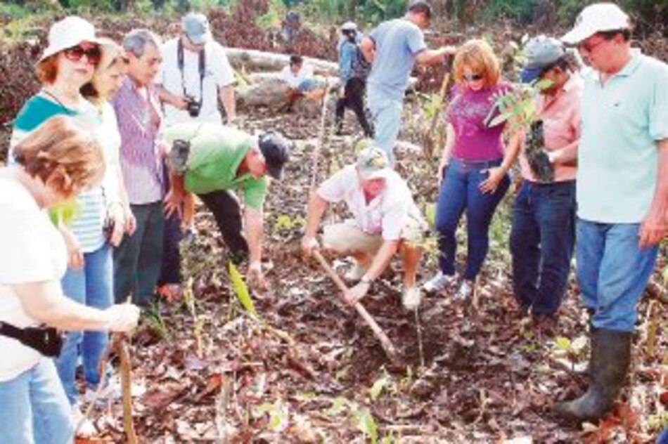 Villa de las Fuentes No. 2