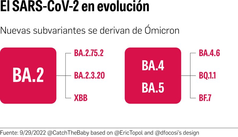 El futuro de la covid-19: endémica o estacional
