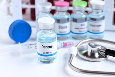 ¿Por qué no está disponible la vacuna del dengue ?