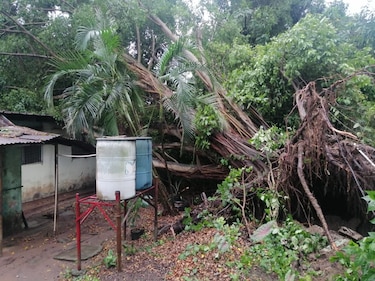 Onda tropical No.7 causa lluvias este fin de semana sobre varios sectores del país