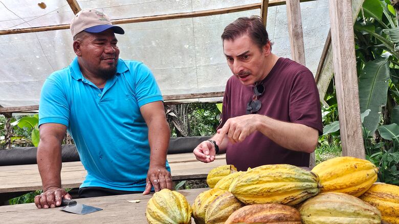 El reconocido chef Jordi Roca explora el cacao orgánico en Panamá: un viaje enriquecedor