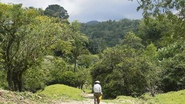 Aumentan las áreas de esparcimiento