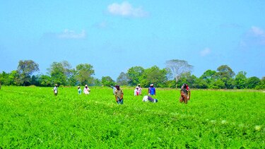 Capacitan sobre uso correcto de los agroquímicos