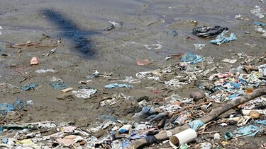 100 empresas han descargado formulario para vender bolsas reutilizables