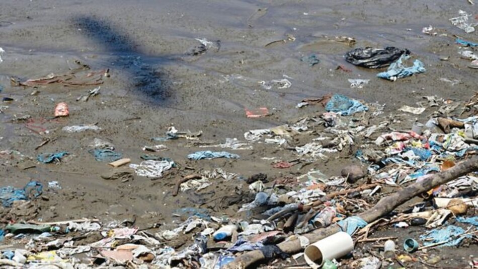 100 empresas han descargado formulario para vender bolsas reutilizables