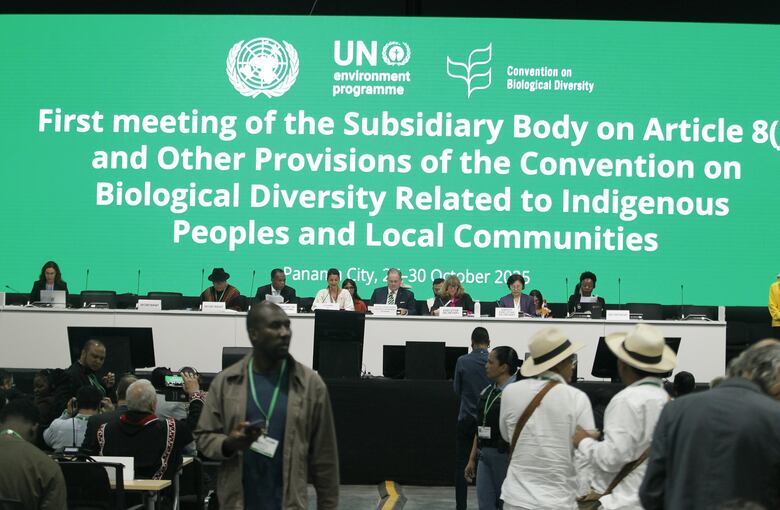 Pueblos Indígenas pide que se reconozcan sus territorios como primera vía de conservación del planeta