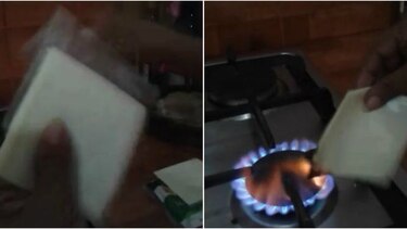 Analizan muestras de queso con supuestas irregularidades