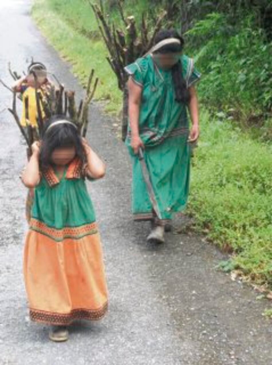 Explotan a niños indígenas panameños en Costa Rica