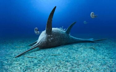 Nuevo ictiosaurio descubierto en un pozo de arcilla del Jurásico