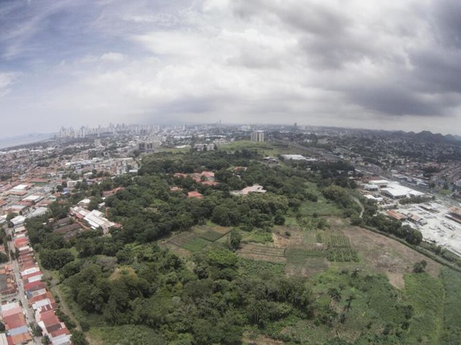 Alcaldía de Panamá solicita fincas al Ejecutivo para parque