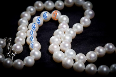 Svetlana Mojsov, la científica que descubrió la hormona GLP-1 usada en medicamentos contra la diabetes e inyecciones para bajar de peso (y que casi borran de la historia)