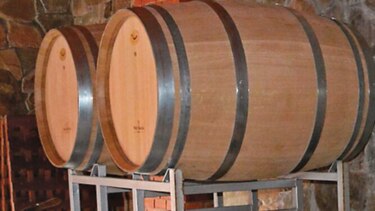 Esperan cosecha de calidad en vendimia italiana