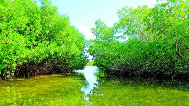 Zonas marino-costeras y el cambio climático
