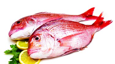 Peces con gran potencial protector