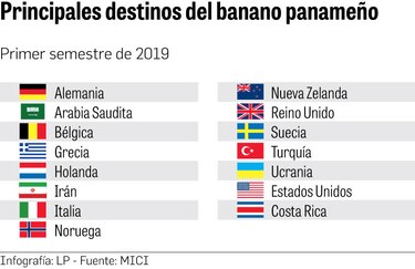 Producción de Barú potencia exportación del ‘oro verde’