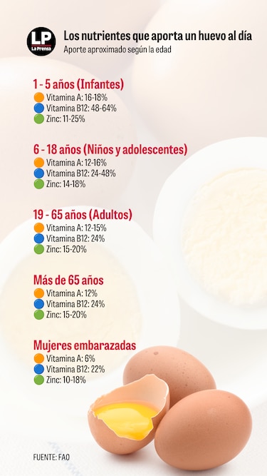 El huevo, un alimento pequeño con un gran aporte nutricional