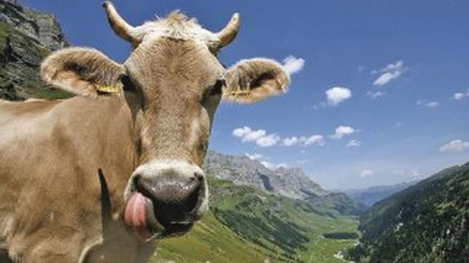 ¿De dónde viene la leche?