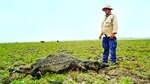 Severa sequía castiga humedal