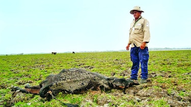 Severa sequía castiga humedal