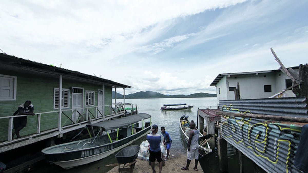 El puerto de La Palma está a 20 minutos en bote desde Puerto Quimba. Desde allí, los sitios más importantes de la comunidad están a menos de 30 minutos a pie.