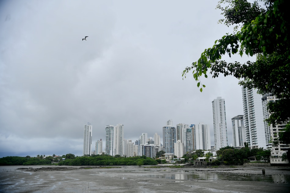 El Ministerio de Ambiente aplica encuesta sobre manglares en San Francisco
