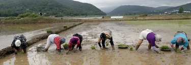 Escasez de agua en Irán: las presas de Teherán, en su nivel más bajo en un siglo