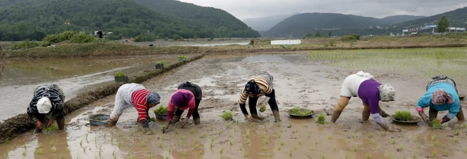 Escasez de agua en Irán: las presas de Teherán, en su nivel más bajo en un siglo