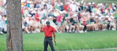 El Tigre vuelve a rugir al mundo