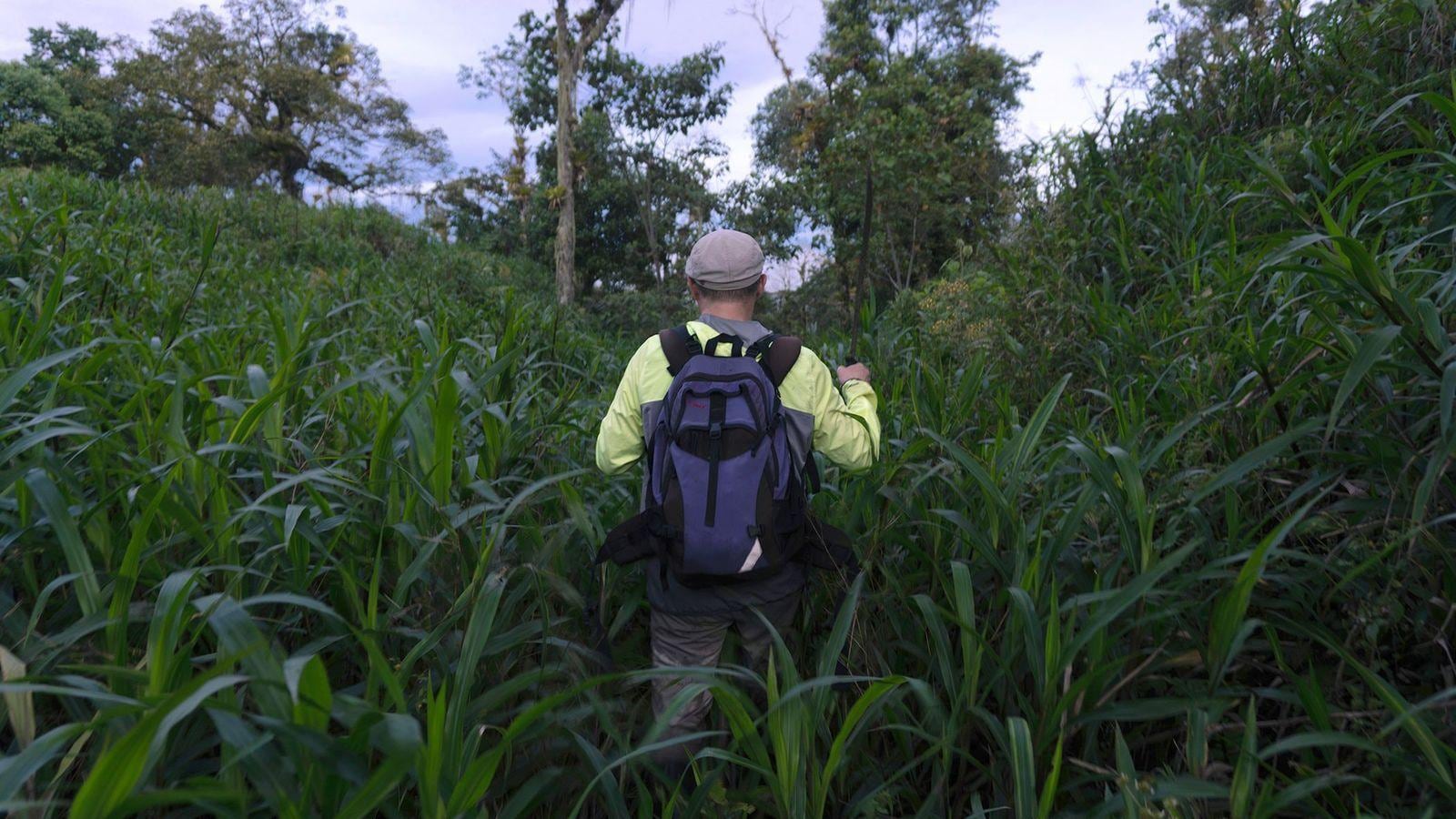Revelan la magnitud de un antiguo urbanismo de 3.000 años en la Amazonía ecuatoriana