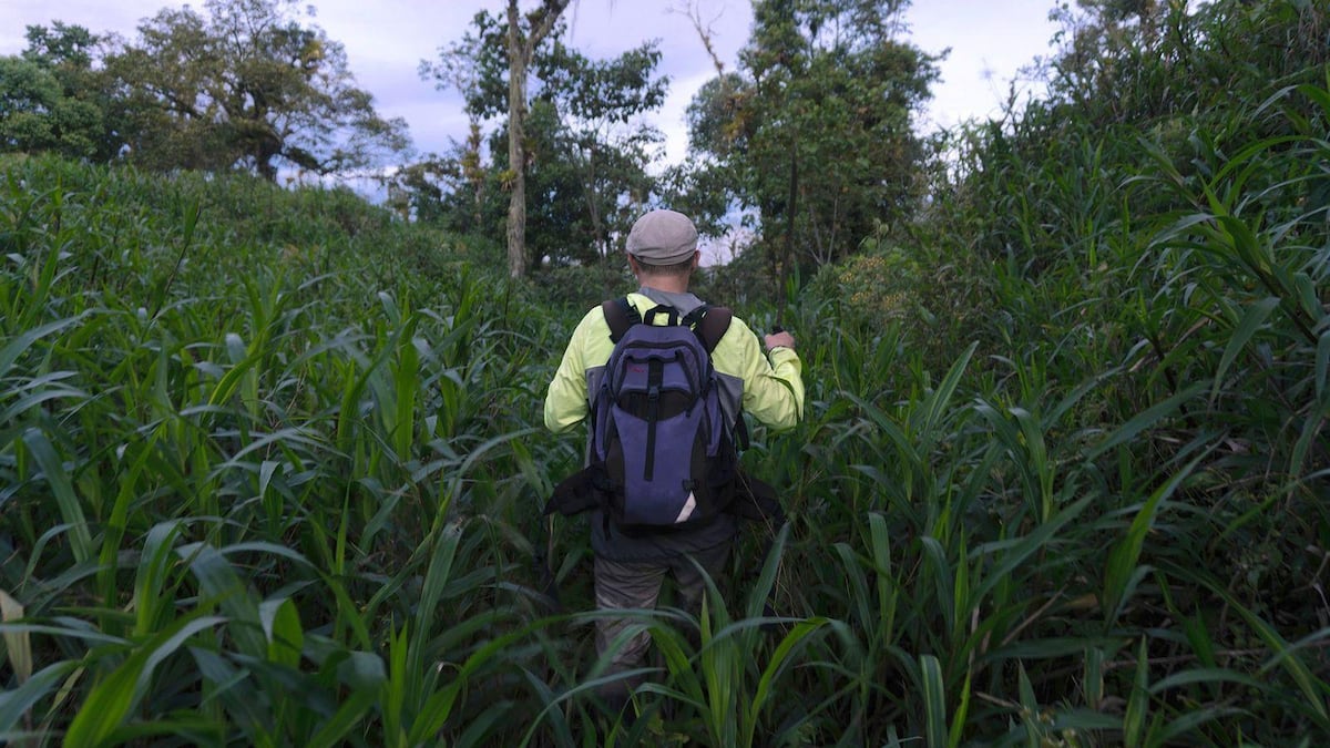 La verdadera historia detrás de la 'ciudad perdida' de la Amazonía