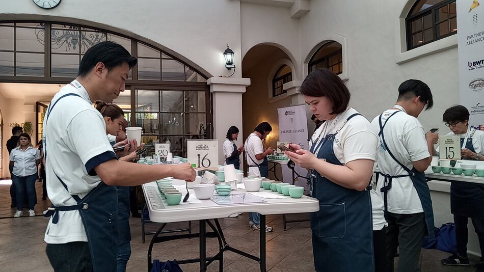 Jueces internacionales inician la evaluación de 72 lotes de café especial de Panamá